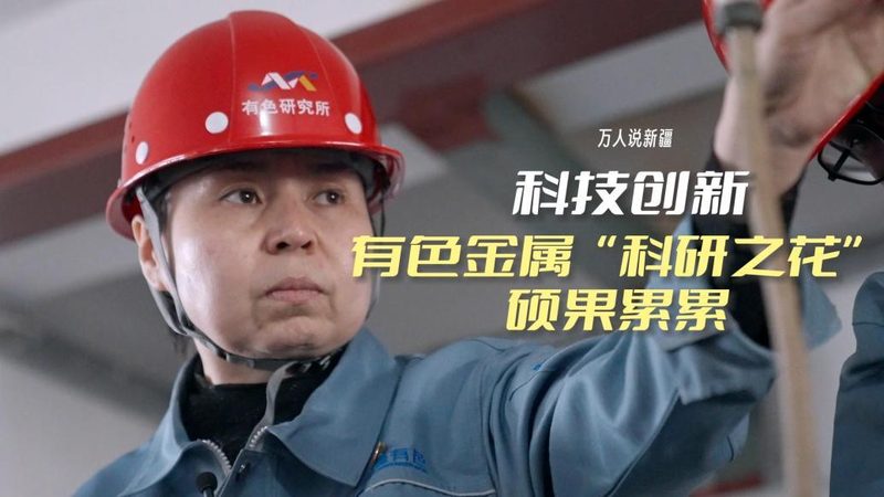 数据治理平台：功能对比，解码选择之道